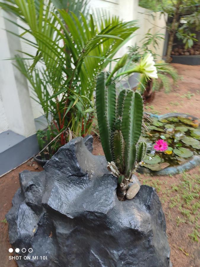 Vyshnavi Home Stay Thanniyam Экстерьер фото